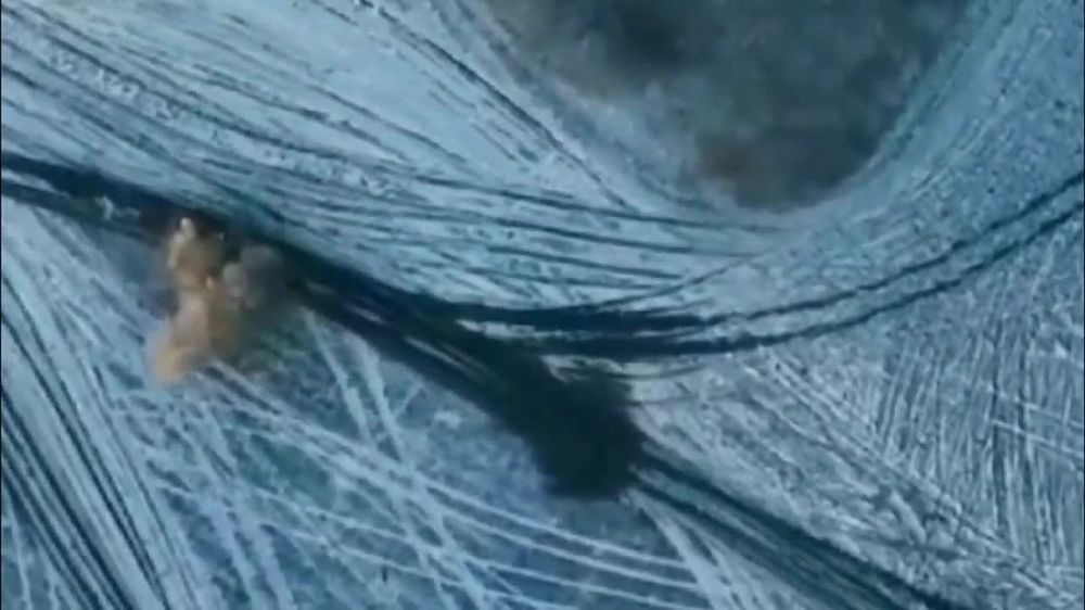 ��� ����������� "������" ��������� ����������� �������