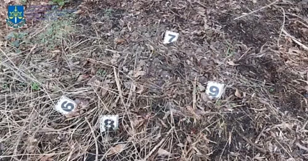 ������ �� ������� ���� ����� ������ ����������