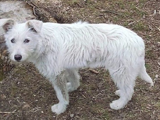 ���������� �������� ������ �� ��������� ������� ������� � ���� ��� �������� �����