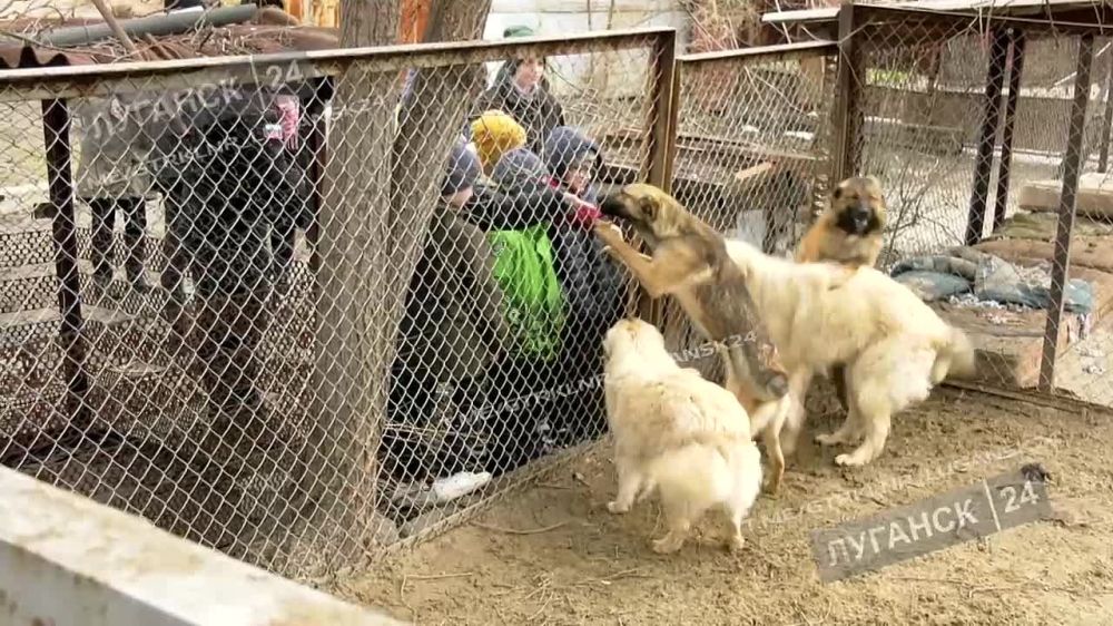 ������� ���������� ��������� � ��������� ����� ������������ ������