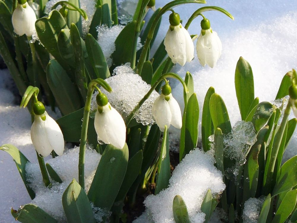 ����������� ������� � �������� ���� �������� �������� 15-17 �������� ���� ����