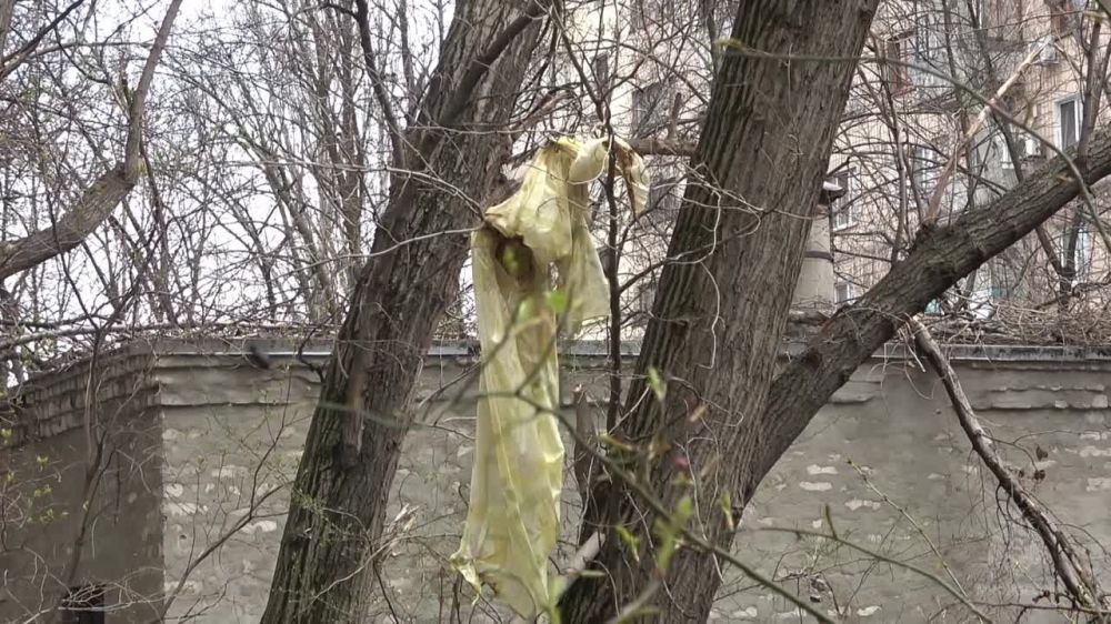 � �������� �� ������� ������������� �������� ������������ ���������� 34-������ �������