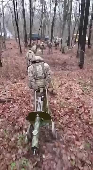 "������� ���� ��� �������� ��� ������ ������� �-55, ������� �� �����