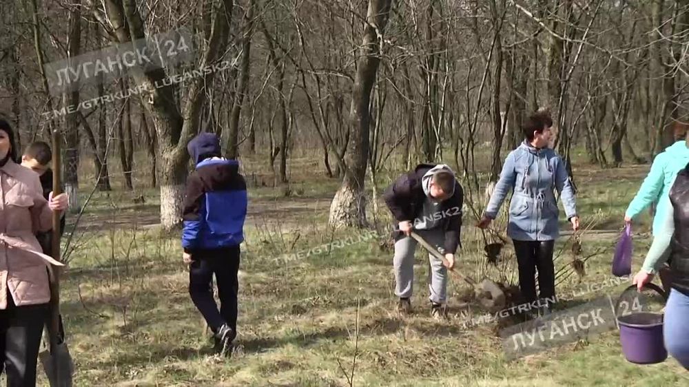 � ����� ���� ������ �������������� ������ ����������� � �������������� ������