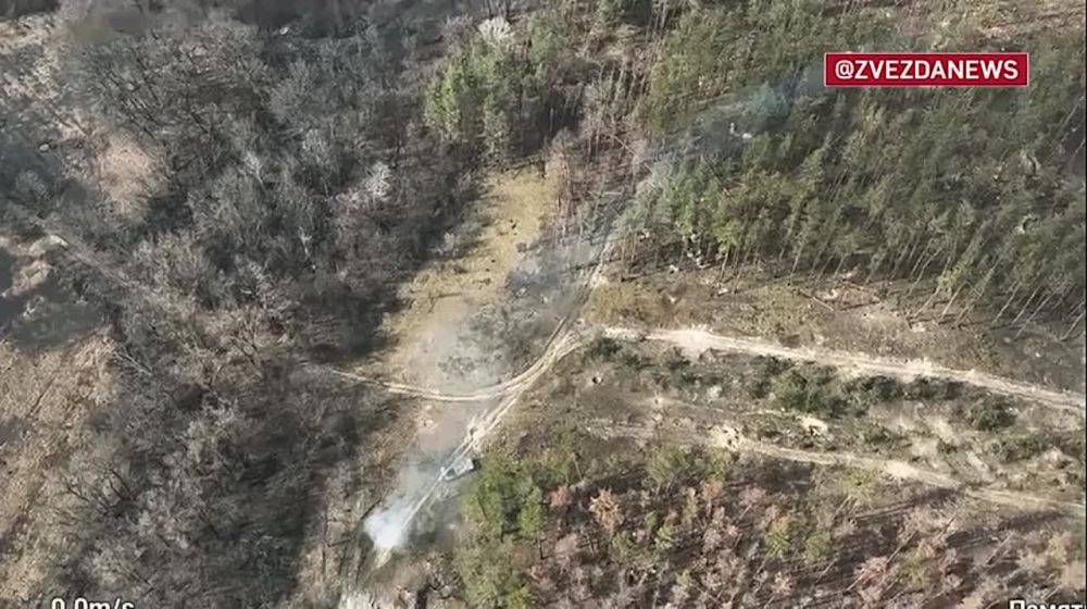 ������ ������ "���� ��������" �� �������-���������� �����������, ����������� ��������� �������