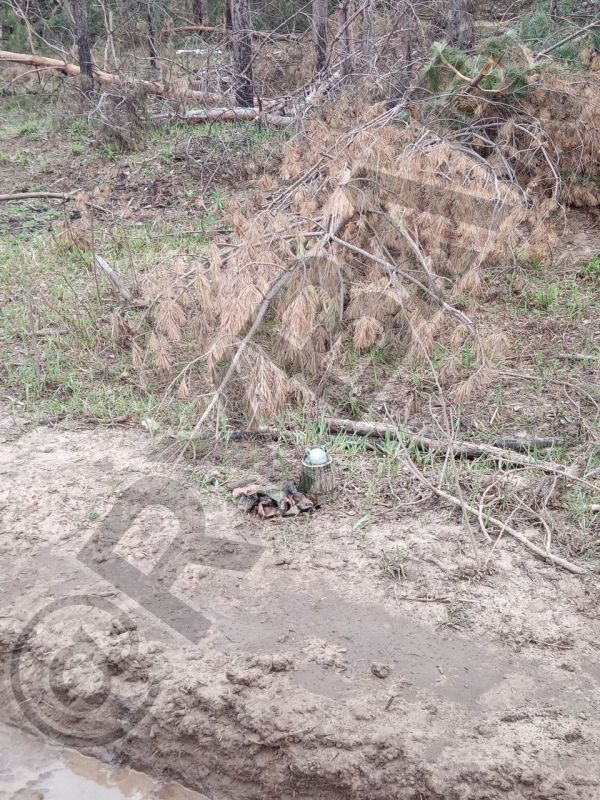 �� ������������� �������� ��� ��2 ����������� ��������������