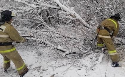 ������� 10 ����� ��������� � ��� �������� ��� ����������������