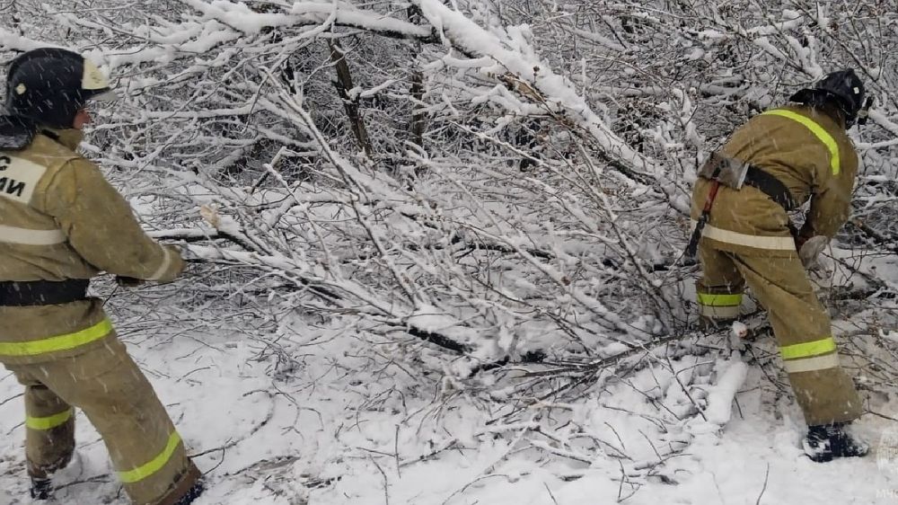 ������� 10 ����� ��������� � ��� �������� ��� ����������������