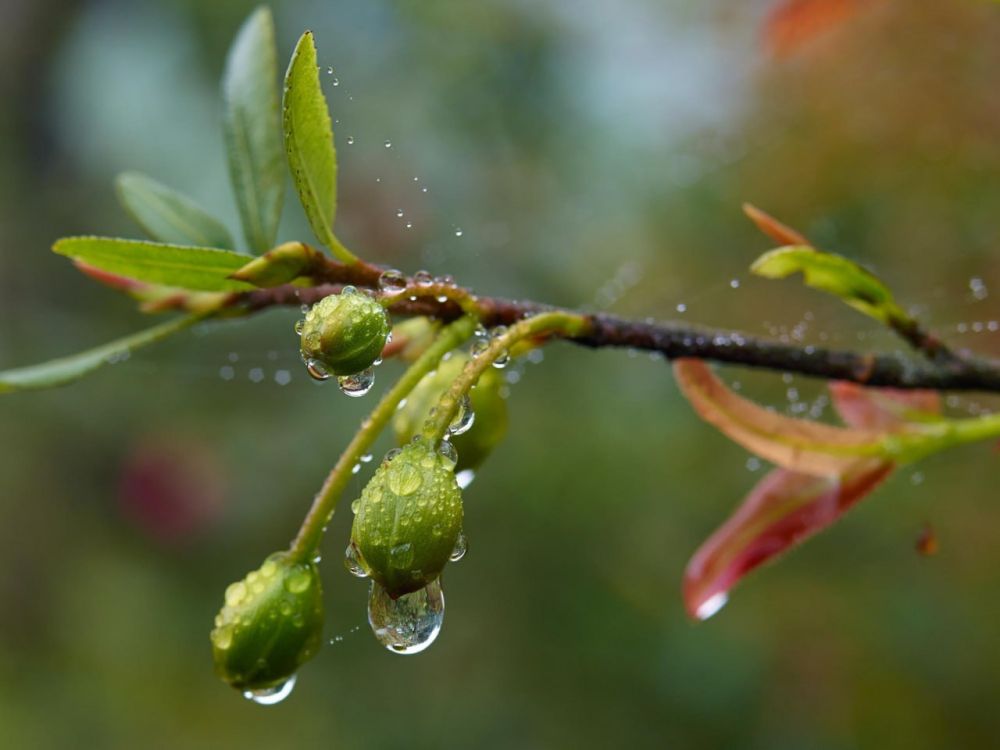 ��������� ����� ��������� � �������� ����� 8 ������