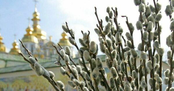 ����� �������� ���������������� � ������� �������� ���������� �� ����� � ������� �����