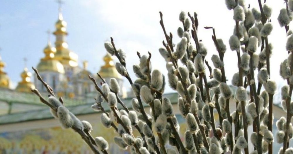 ������ �������� ���������� ���������� �� ����� � ������� �����