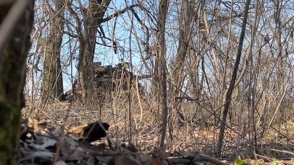 ������ ������ �������� ����� ������