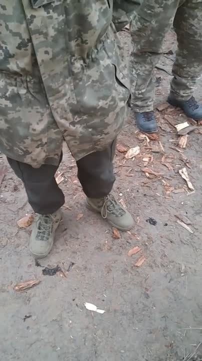 �������� ����� ��������� ������ � �������� � ������ ������� ���