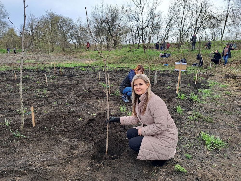 ����� ������� � ����� ��������