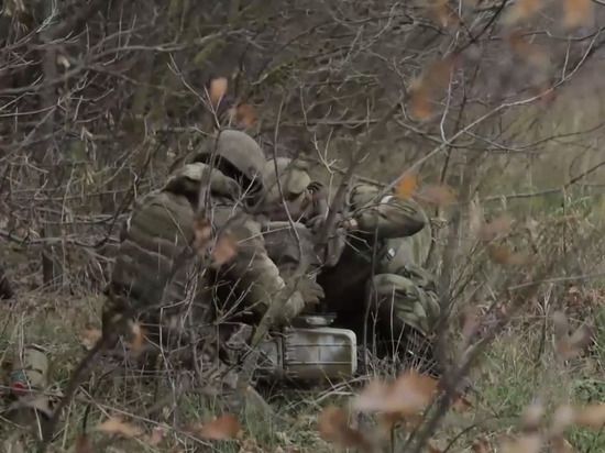 ������� �� �������� ������������ ������� ���������� ���