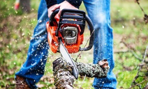 ��������� ������ ���������� ���������� ����������� ��������