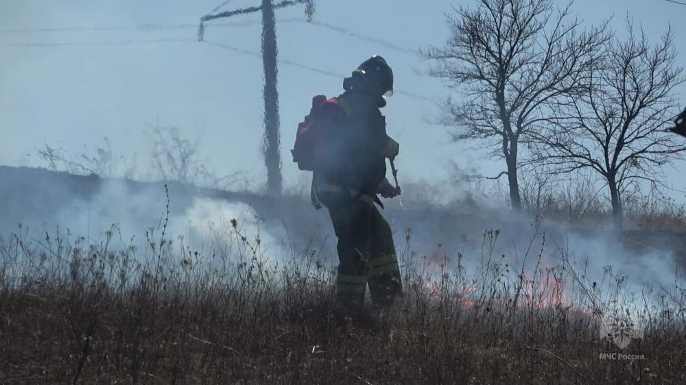 �� �������� �������� �� ���������� ���������� ������������� 34 ������, 23 �� ������� �� �������� �����������