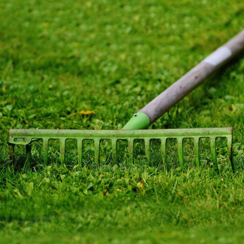 ��������� ������������� ��������� ������� �������������� � ����� �� ��������������� ����������