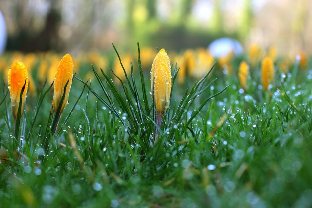 ����� ��������� ������ � ��������