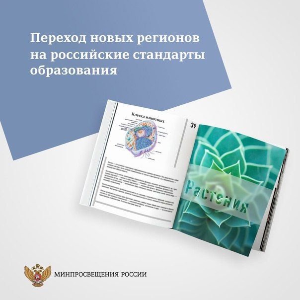 ��� ����� ���������� ������� ����� �������� �� ���������� ��������� �����������? ��� ����� ����� � ������? ��� �� �������� ����? �� ��� ������� ������� ������� ����������� ������ ������ ������� � �������� ����������� ������