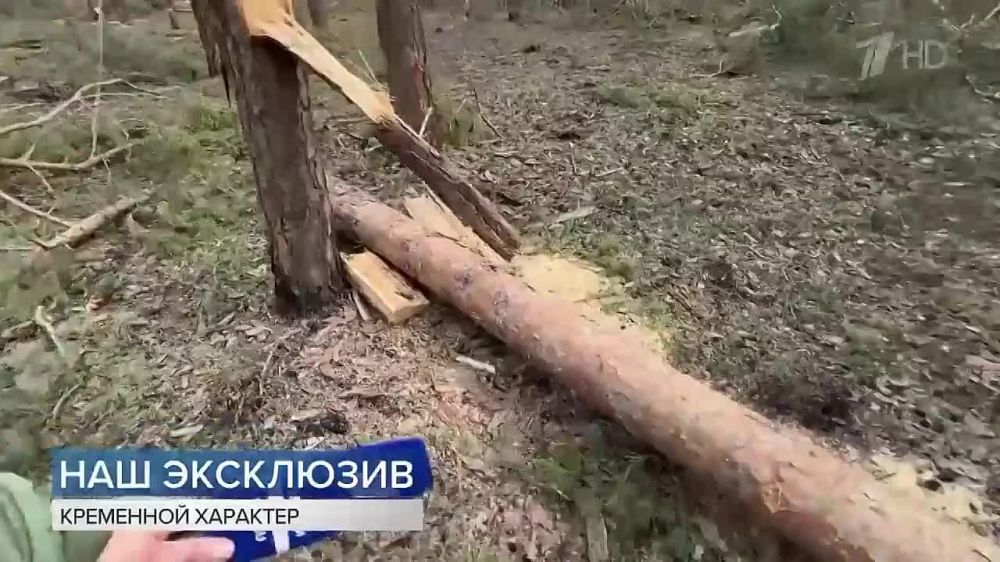 ��������� �������� � ������ ����� ������ � ���� ��� ��������� �� �������� ����� 4-� �������