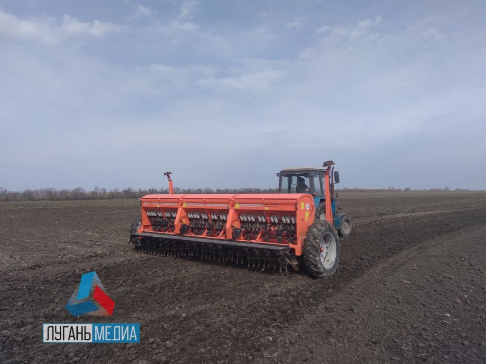 �������-������� ������ � ��� �������� ��� ��������� �������