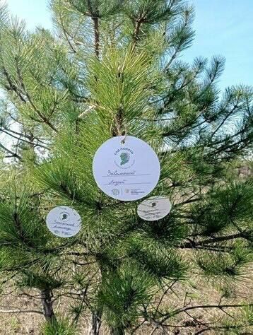 ������� � ������ ������������� ����� "��� ������" �������� �� ���������� ������������� ����������� ����� 4,5 ���....