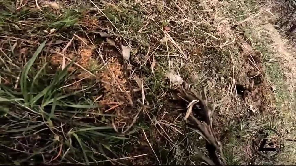 ��������� ������� ��������� ������������ �������� ������������ �������� ��� ���������� ���������, �������������� � ����, � ����� 2-200�, ������� �������� + 1-300�