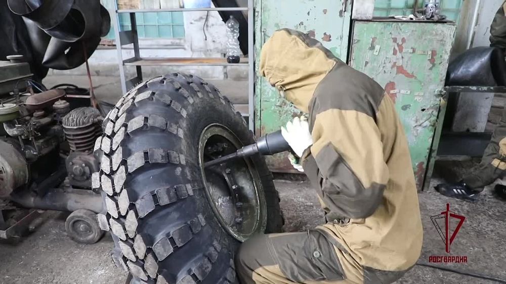 �� : � ��������� �������� ���������� ������������� ������������ ����������� ���������� ��������������� �������� �������� �� ����� ����������, ������������� � ������������� �������