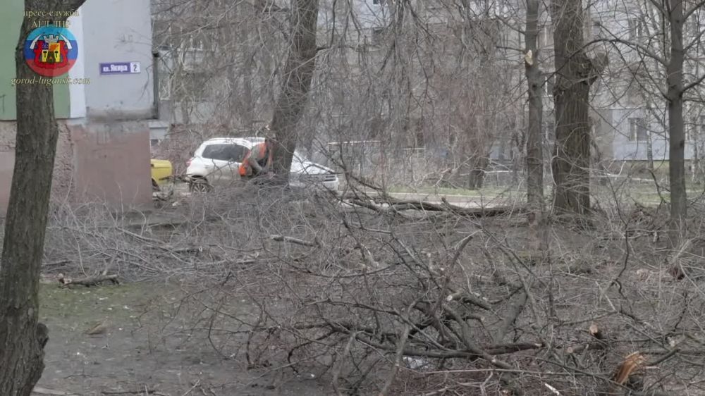 ���������� ����������� �������� ���������� ������������� ����������� ���������