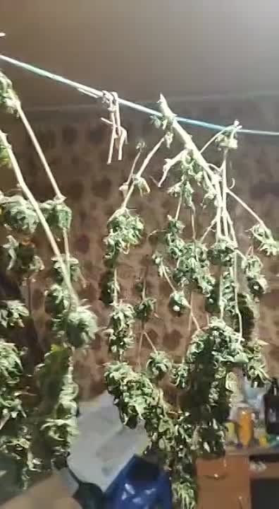 ������ �������� ���������� � ����� �������� ��������� ��� ����������� ��������������� ��������