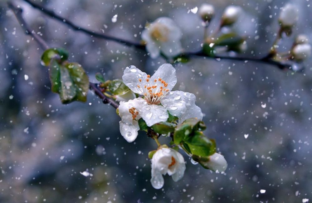 ��������� ������������ ������ � �������� ������� �����