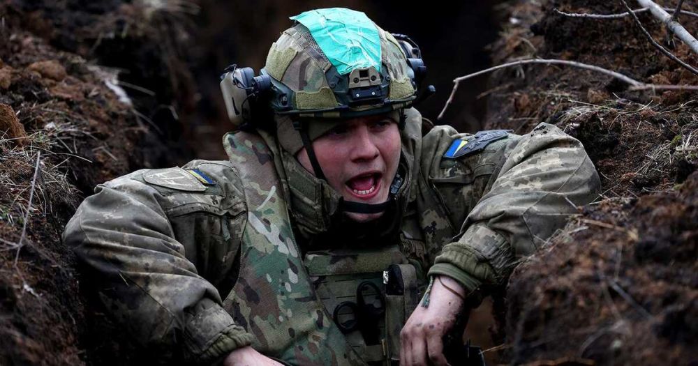 ������ ��� �������� � �������� ����� � ���������� ���� ������������