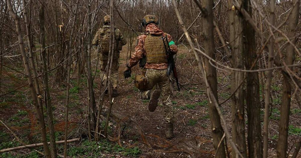 �������: ��� ����������� ��������������� ���������� � ����������