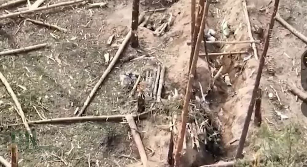 "��������" �������� ����� ���������� �������� ��� ���������