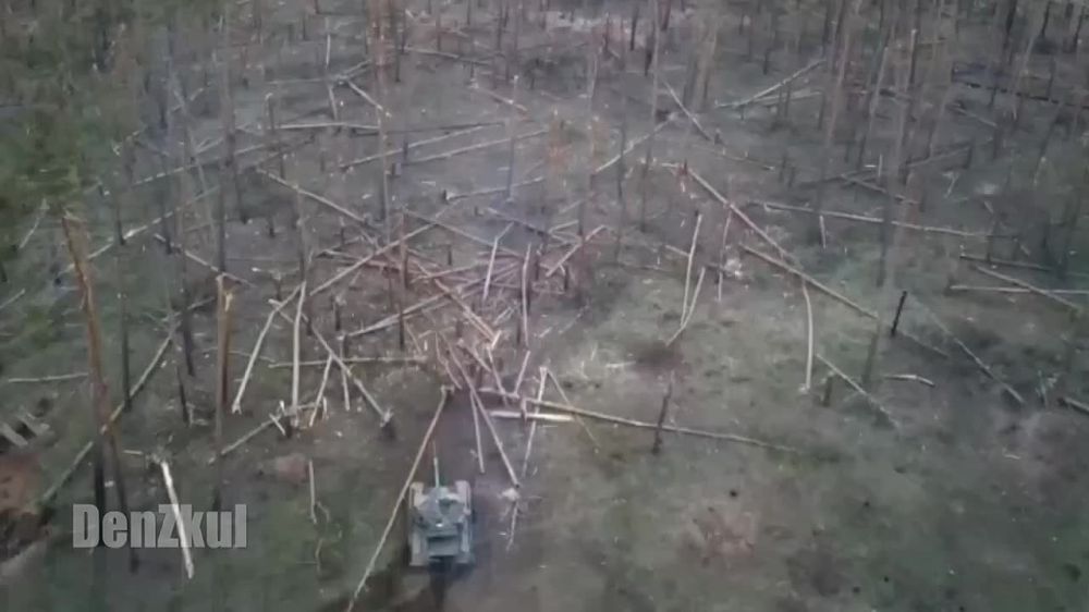 ��������������� � ����������� ������ ��������� 4 ������� 2 �� ���