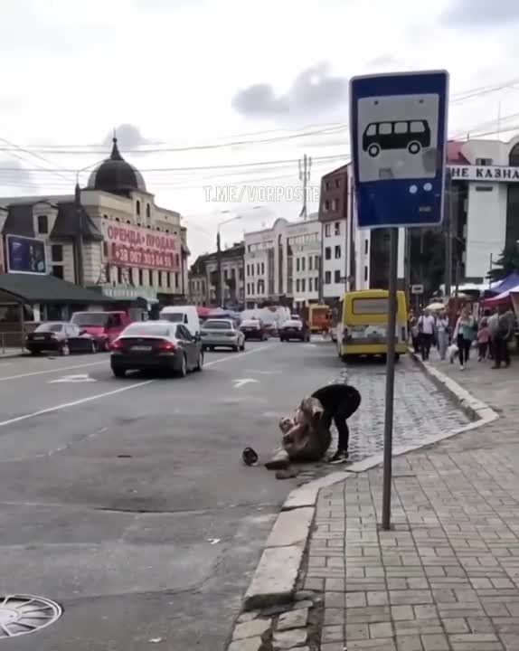 ������� ���������� �����������