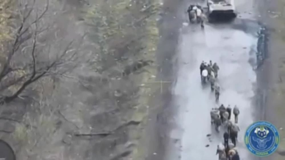 ����� ������ ��������������