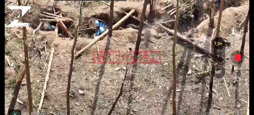 �������������� ������������� ��� � 4-� ������� �� ������ �������(��������� ����� ������� ����) ���������� �� ���������� ����������� ������� � ������