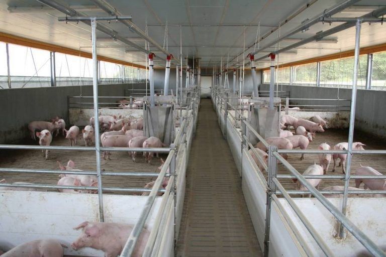 ������������ ���������� � ���������������� ��������, ��������������� ��� ���������� ������