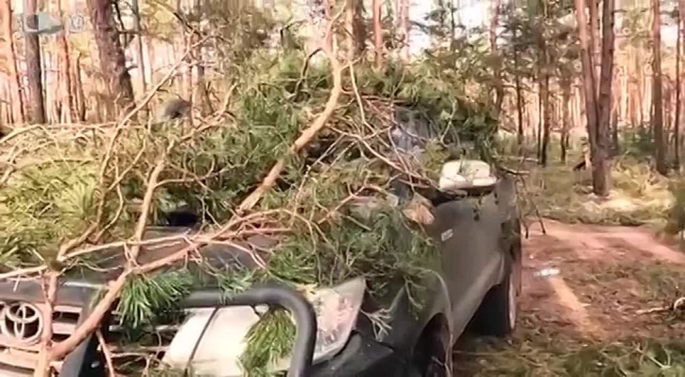 ���� ������� ����������� �������� � ��������� ������� � ����� ��� ��������� � � 100 ������ �� ���