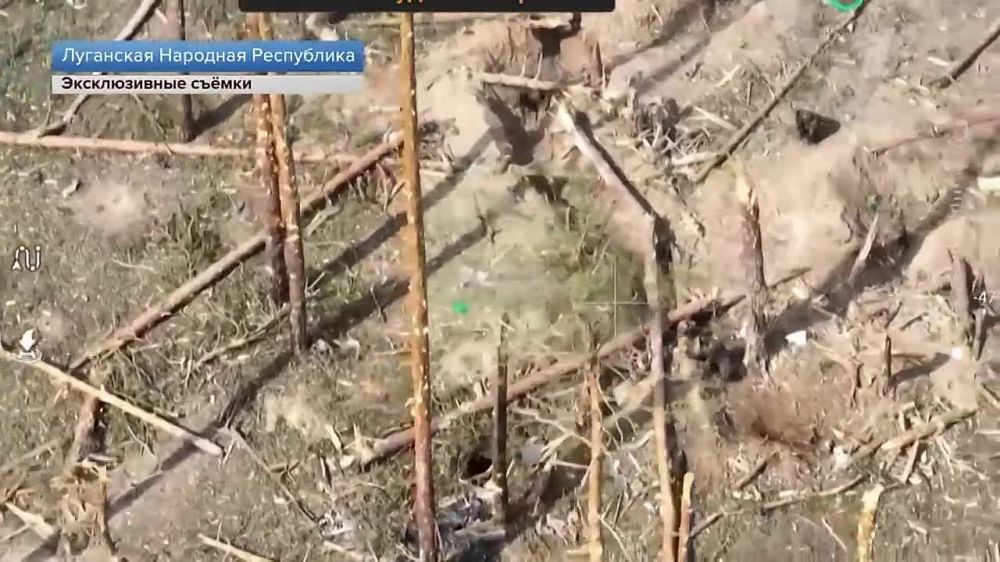 ����� ������� ��� � ���������� ����