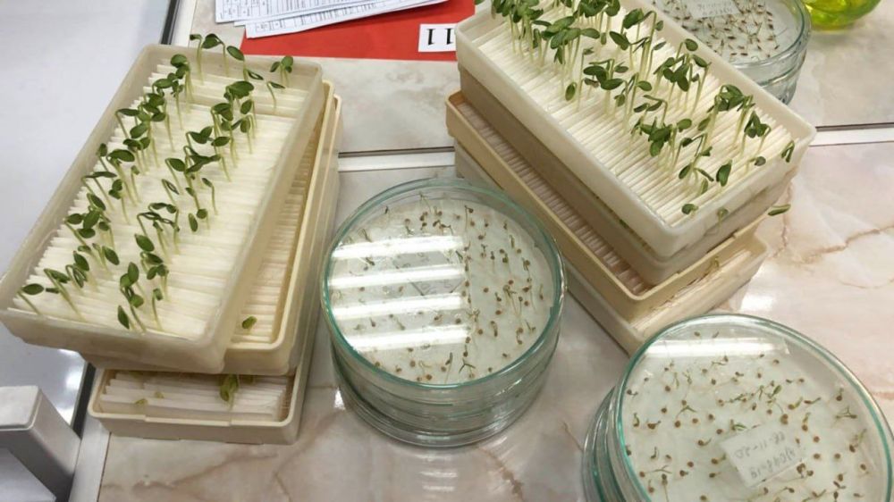 �������� �������� ����� ��� ��������� ������������