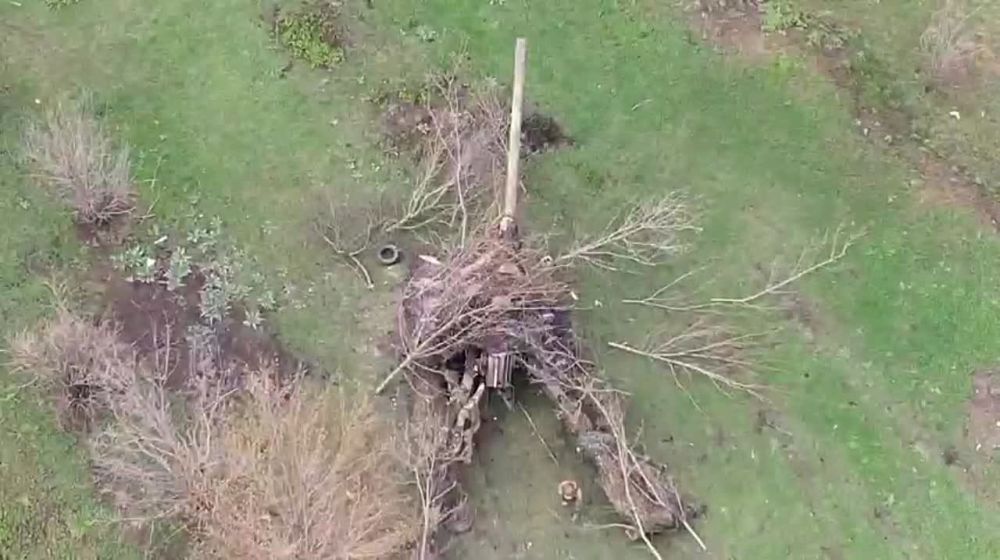 ��� ��� �������� � ��������, ����� � ����������� ������ ��������� ������� ��� �������� ��������� ������� ��� "�������", � �� ����� ��� ����������-����������� � ��������� ������� �������� ������������� � ���� ����� ������ ������� ����������