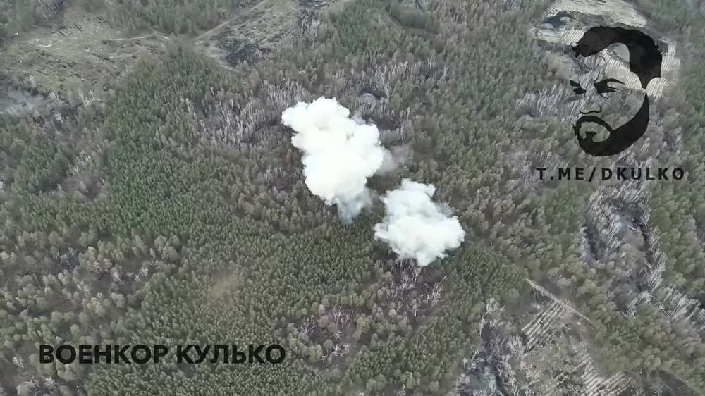 � ���������� ���� "��������" �������� �� ����������