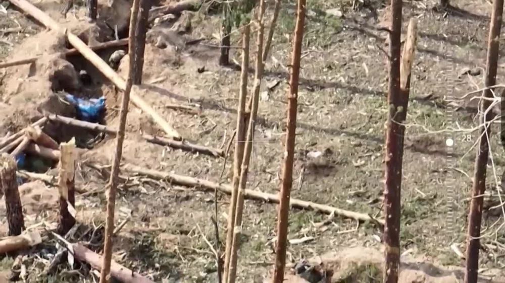 ���������� "��������" ���������� ��� ����� ������� ���������� ��������