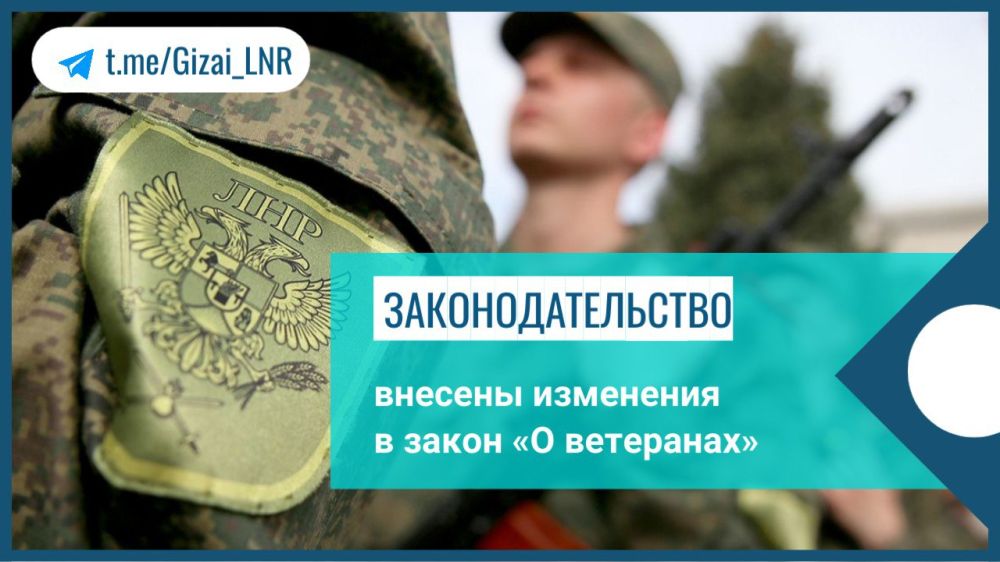 Светлана Гизай: Ополченцы, защищающие Донбасс с 2014 года, получат статус ветерана боевых действий