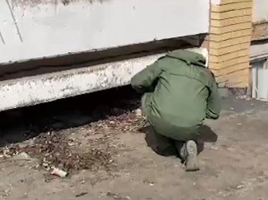 �������� ���� ����: ���������� �������������� ����������� ������ ������ � �������