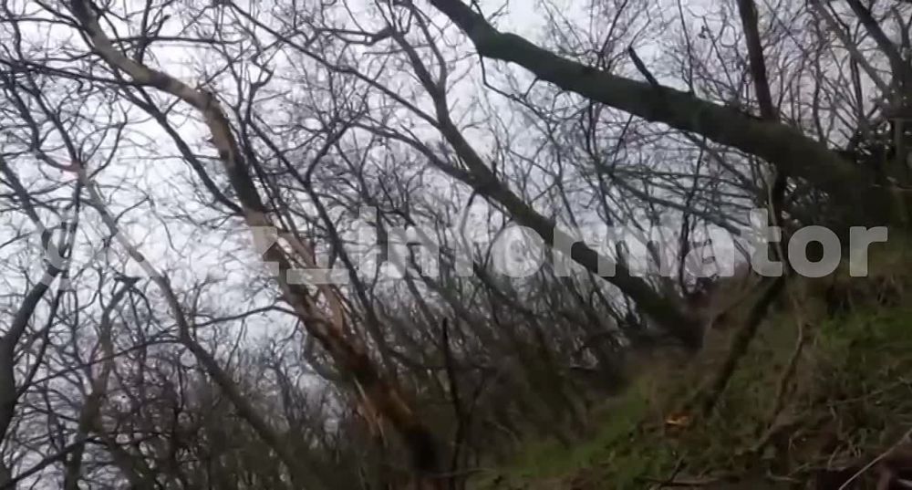 ������ ������� �� ���������