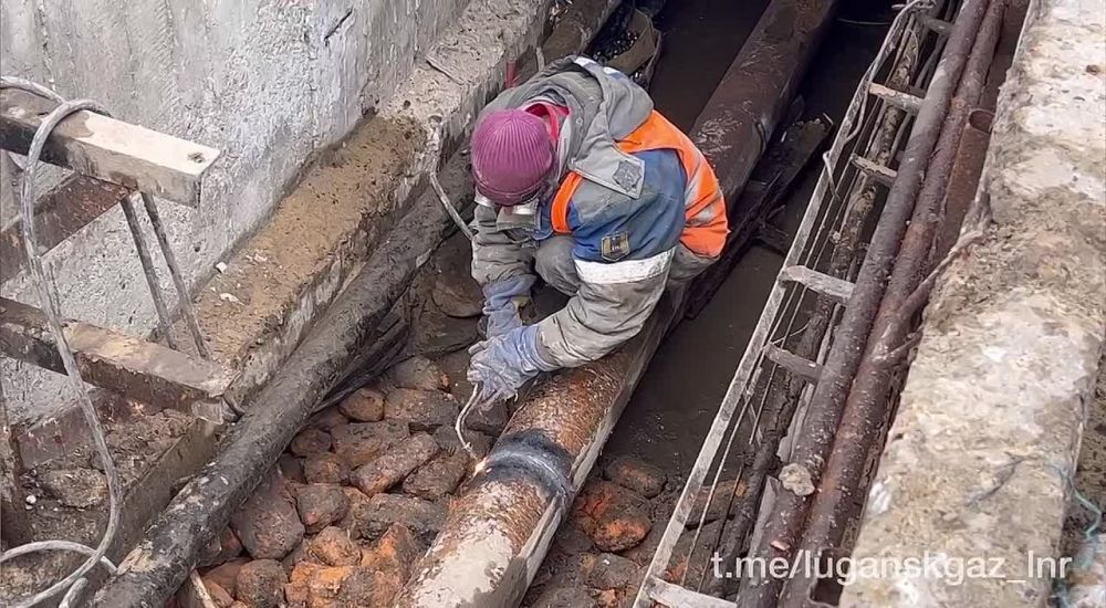 ��������������� ������ � �������� ������� � ���������� ����� � ������ �������� �� ��. ���������, �������� � ��� "����������"